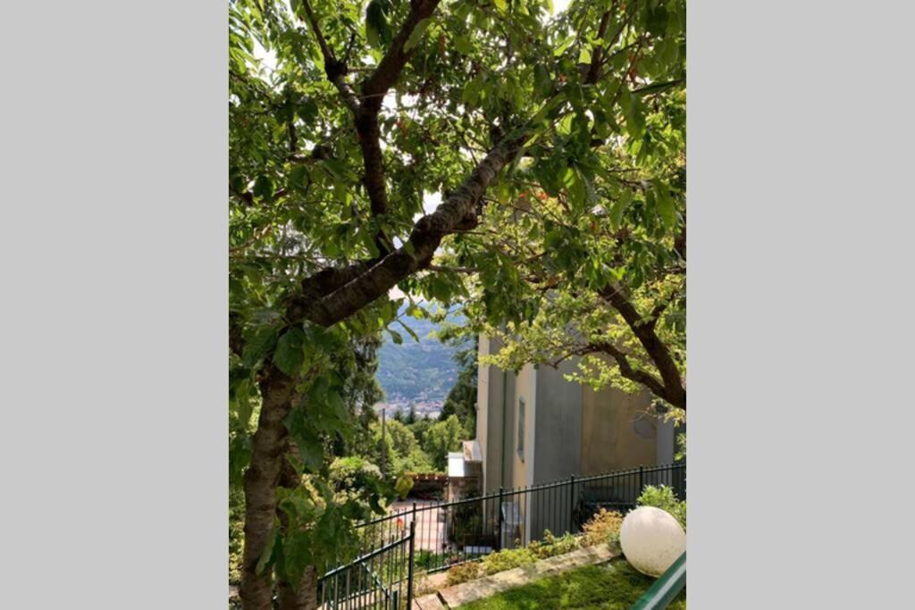 The Cherry Garden House Loft Lusso Apartment Brunate Exterior foto